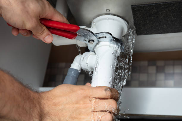 Best Fire Damage Restoration  in Bellevue, KY