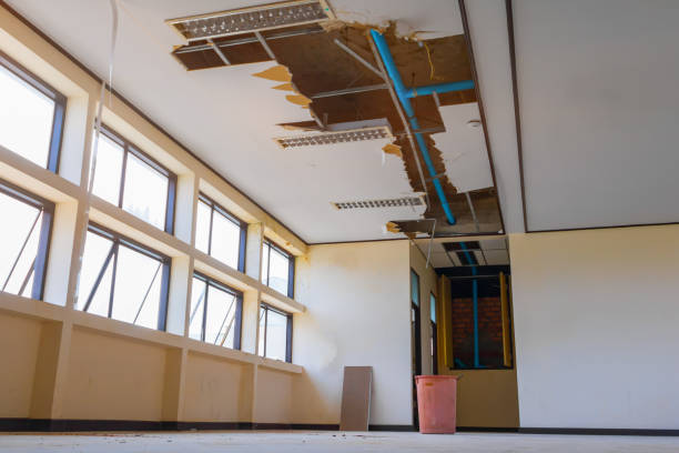 Best Flood restoration services  in Bellevue, KY