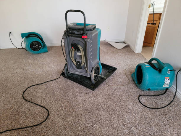 Best Water damage restoration mold remediation  in Bellevue, KY