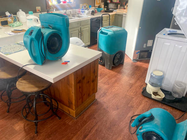 Best Water damage contractors near me  in Bellevue, KY