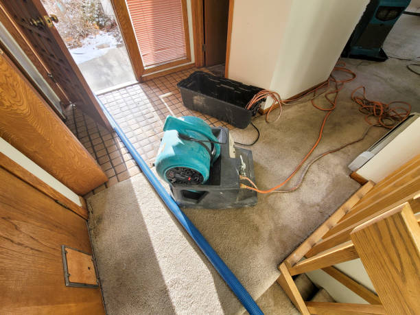 Best Ceiling water damage repair  in Bellevue, KY