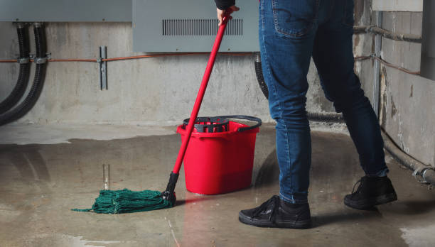 Best Commercial water damage restoration  in Bellevue, KY