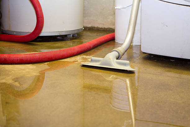 Best Water damage cleanup near me  in Bellevue, KY