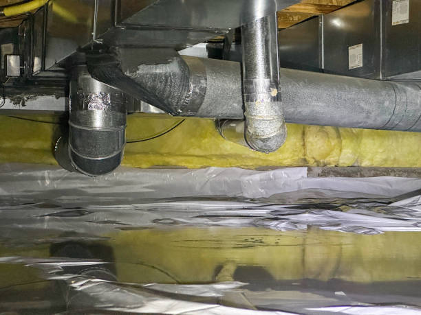 Best Water damage restoration company  in Bellevue, KY