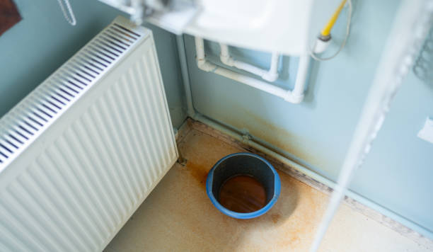 Best 24/7 water damage repair  in Bellevue, KY