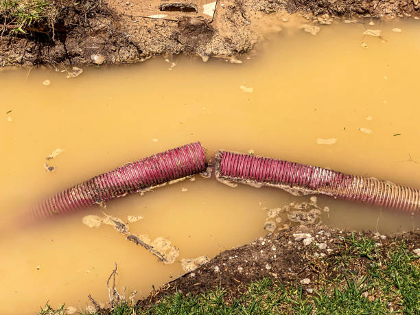Best Basement water damage restoration  in Bellevue, KY