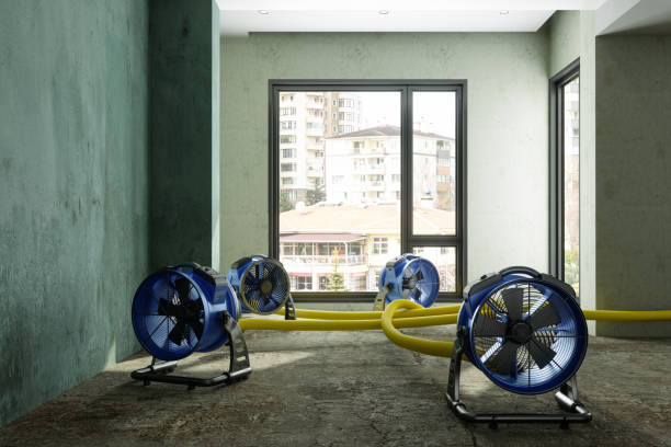 Best Water damage restoration near me  in Bellevue, KY