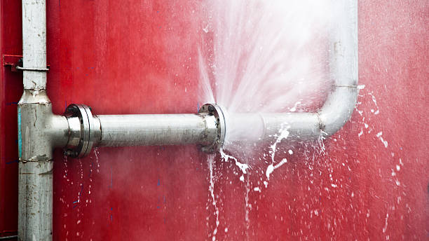 Best Carpet water damage restoration  in Bellevue, KY